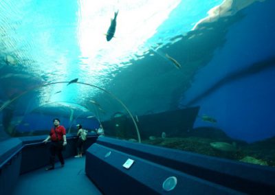 Ocean Park Shark Aquarium, Hong Kong