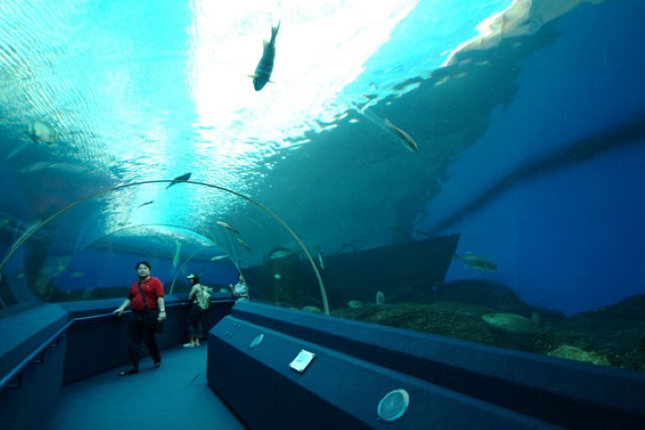 Ocean Park Shark Aquarium, Hong Kong